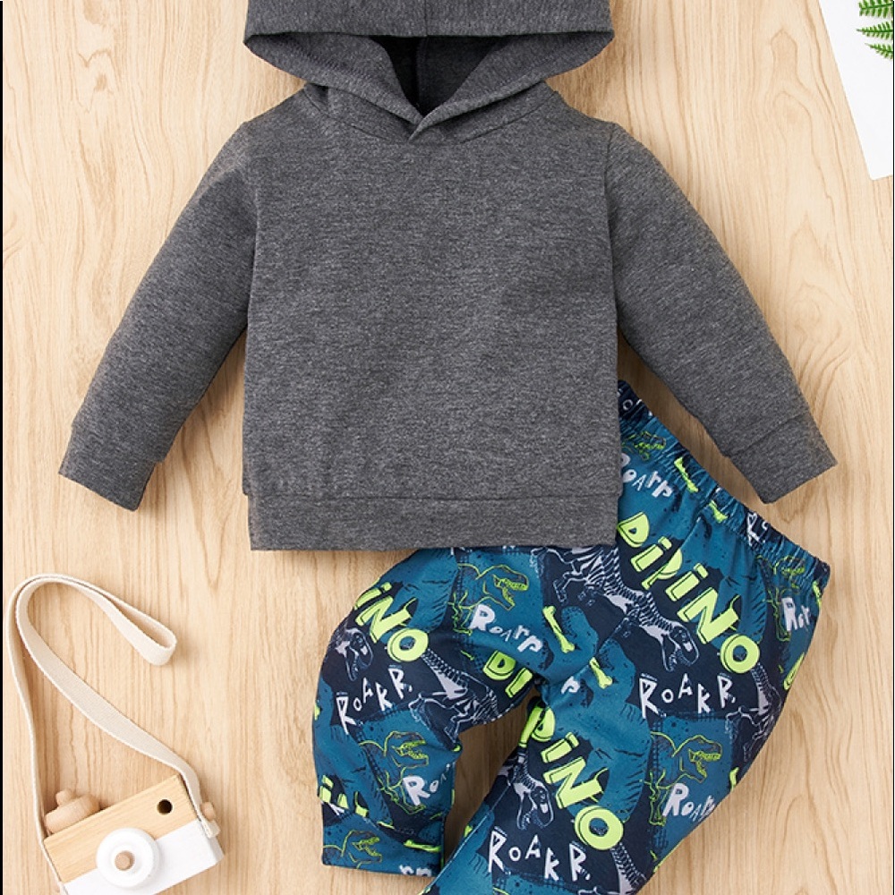 NWOT Baby Hoodie and DINO Roarr Pant Set.                 Size:9-12 M Color:Gray